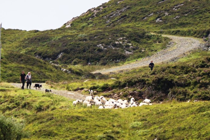 3 generations autocorrected