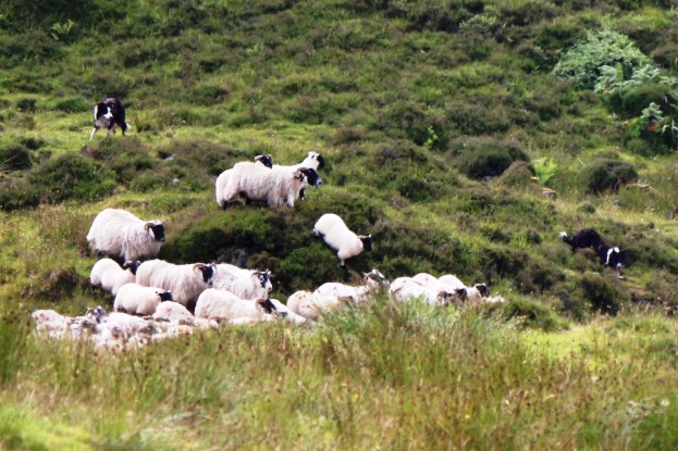 Goodness and Mercy autocorrected